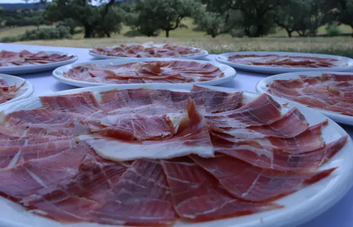 Corte de jamon Iberico
